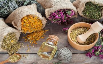 این گیاه درمانگر غلظت خون