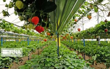 اردبیل با اتکای به بخش خصوصی به‌دنبال جهش سرمایه‌گذاری است