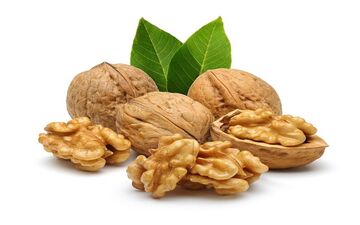 نوجوانان حتما این آجیل را مصرف کنند