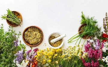 رایحه‌درمانی؛ راهی ساده برای تقویت سلامت مغز