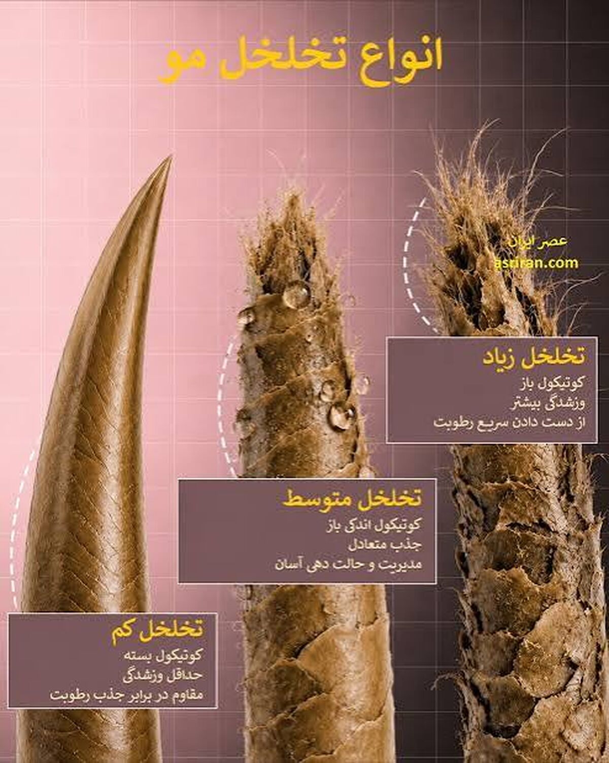 چه عواملی بر تخلخل مو تاثیر می گذارند؟