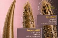 چه عواملی بر تخلخل مو تاثیر می گذارند؟
