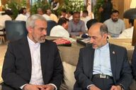 وزیر اقتصاد ایران به هند سفر کرد تا در اجلاس بریکس شرکت کند
