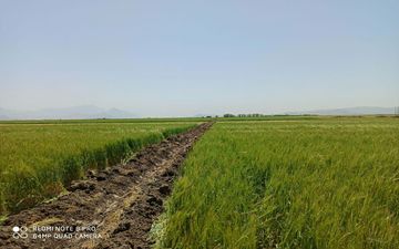خروج 15000 هزار متر مربع اراضی ملی استان کرمانشاه از ید متصرفین