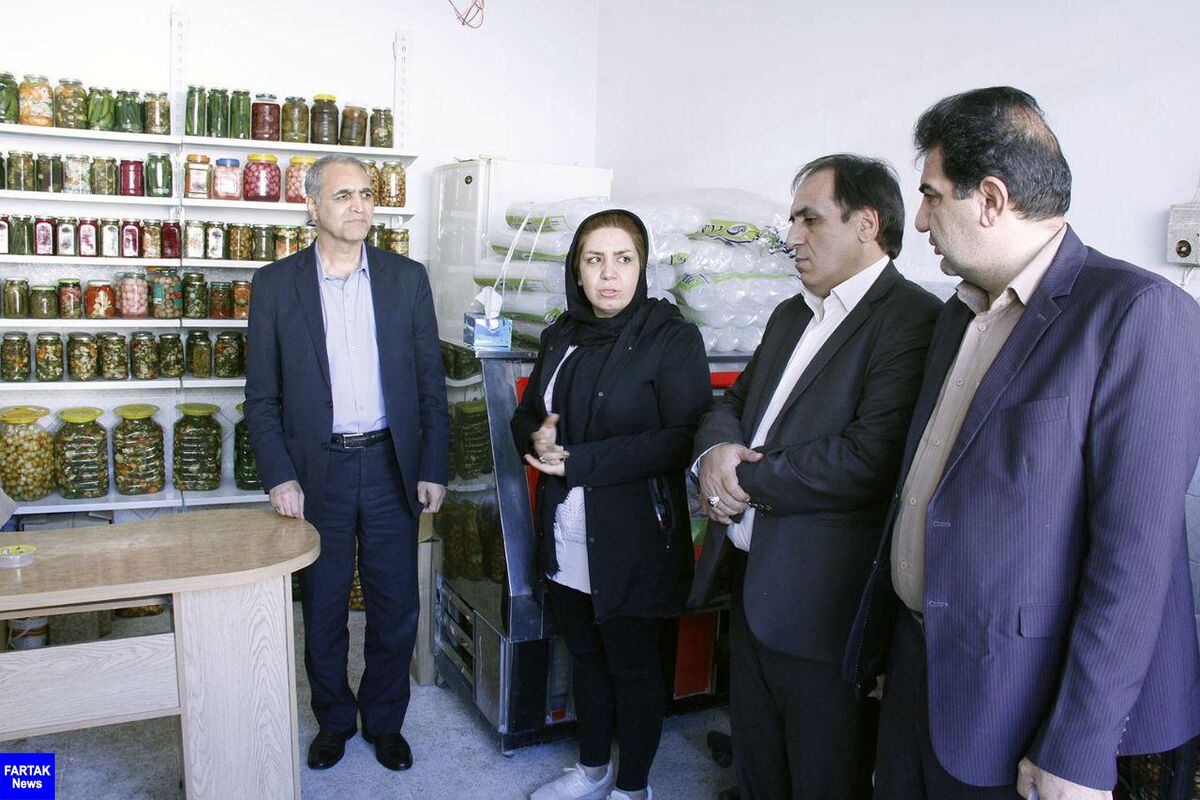 پرداخت بیش از 217 میلیارد ریال تسهیلات اشتغالزایی در استان کرمانشاه