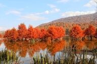 خبری از بارش باران در مازندران نیست