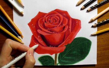 رنگی که حسادت خانم ها را برمی انگیزد