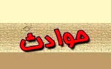 ماجرای دستگیری زوج سارق در تهران