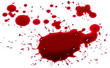 قتل کودک ۶ساله توسط ناپدری
