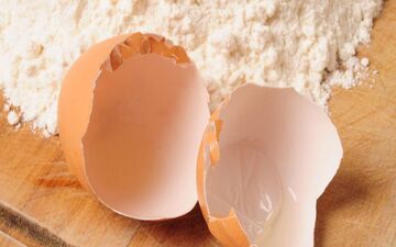 بخش کمترشناخته شده تخم‌مرغ که برای پوست و مو مفید است