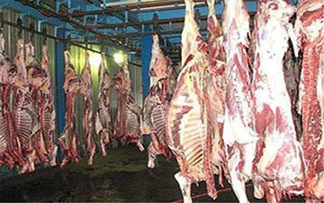  بازار گوشت حال خوشی ندارد