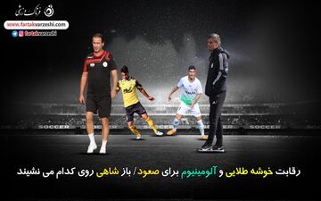 اختصاصی/ رقابت جذاب سرخابی‌های معروف/ باز شاهی بر روی شانه‌های کدام یک می‌نشیند