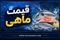جدول قیمت ماهی امروز ۱۴ مرداد ۱۴۰۵ | جدیدترین نرخ قزل‌آلا، سالمون و میگو