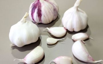 چقدر در مورد سیر می دانید؟ | اطلاعاتی جالب درباره سیر!