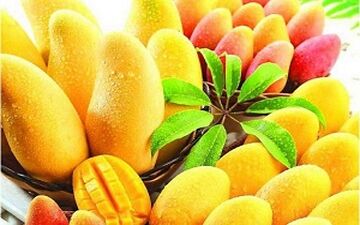 همه چیز درباره پادشاه میوه‌ها + فیلم 