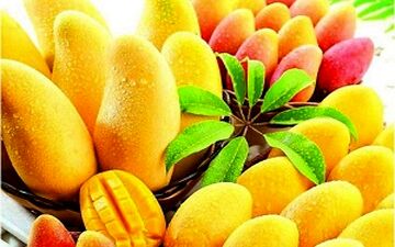 همه چیز درباره پادشاه میوه‌ها + فیلم 