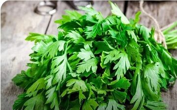 این سبزی پوست شما را زیبا و لاغری را به شما هدیه می‌دهد