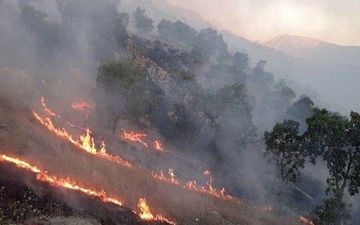 آتش‌سوزی در جنگل‌های «پاوه» جان یک نفر را گرفت