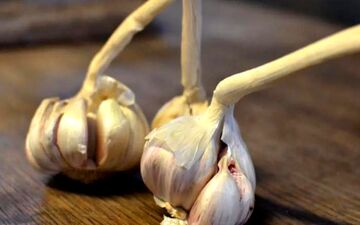  اگر عاشق سیر هستید، این بهترین راه برای رفع بوی آن از دهان است