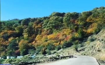 "لاویج"، روستایی زیبا در میان دره‌های جنگلی + فیلم