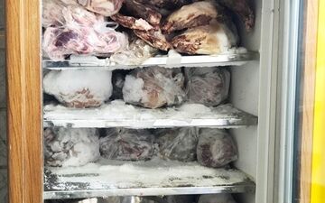 کشف 4 تن کله‌پاچه و گوشت قرمز فاسد در جنوب تهران