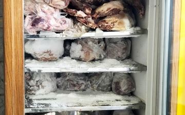کشف 4 تن کله‌پاچه و گوشت قرمز فاسد در جنوب تهران