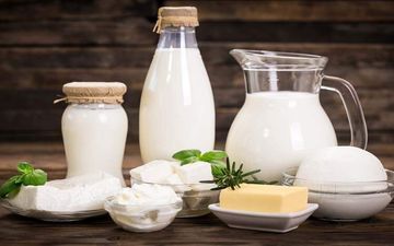 خبر مهم درباره بررسی گرانی لبنیات 