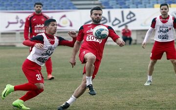 سرخ‌پوشان پشت ترافیک پرنده‌فروشان! 