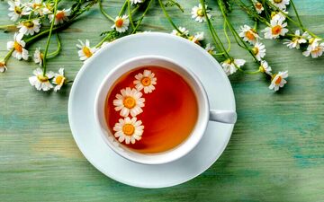 8 دمنوش معجزه آسا برای درمان آنفلوانزا+ اینفوگرافی | اختصاصی