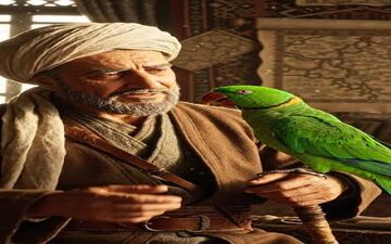 حکایت معروف «طوطی و بازرگان»؛ وقتی سکوت، راه آزادی را نشان داد