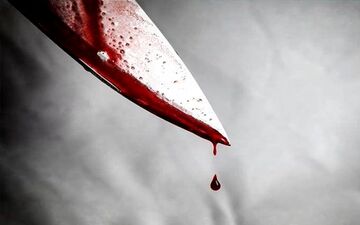 جزئیات هولناک از قتل رئیس بانک با ۴۰ ضربه چاقو/ اعترافات تکان‌دهنده قاتل اجاره‌ای در دادگاه