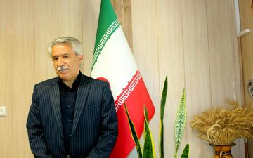 برداشت بیش از ۱۷۱ هزار تن ذرت علوفه ای از مزارع شهرستان کرمانشاه