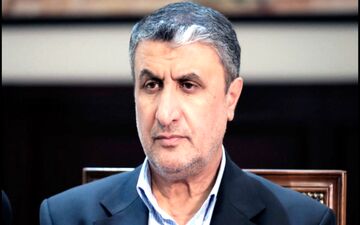  احتمال ارسال جعبه سیاه هواپیمای اوکراینی به فرانسه وجود دارد