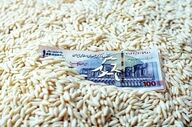 قیمت برنج پاکستانی ۱۳ مهر؛ سوپر باسماتی چند شد؟ + جدول