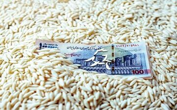 قیمت برنج پاکستانی ۱۳ مهر؛ سوپر باسماتی چند شد؟ + جدول