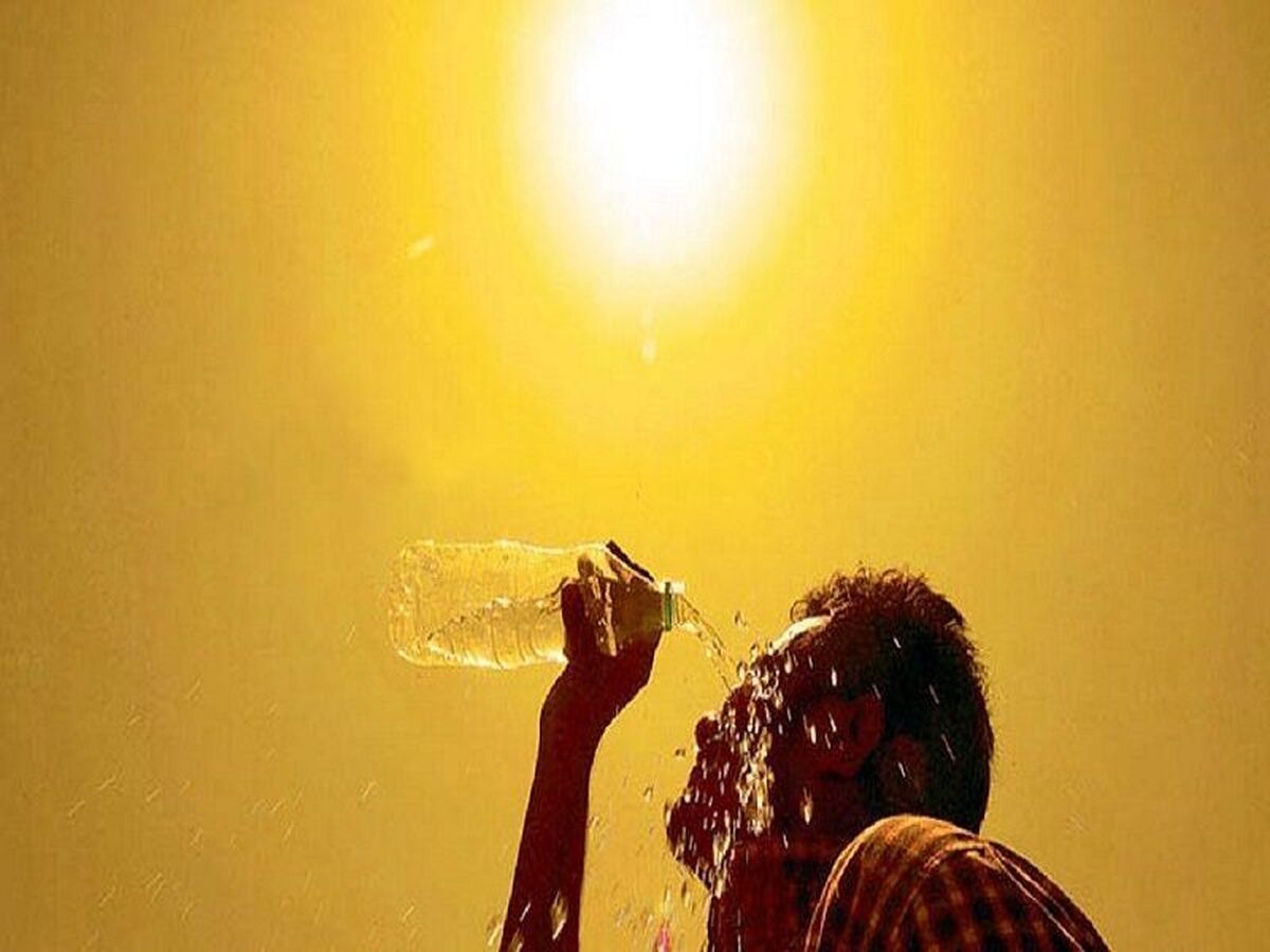 گرمای هوا در استان بوشهر تداوم دارد