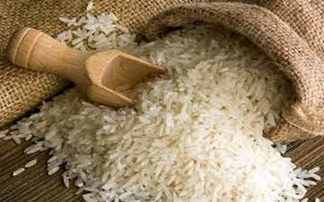 قیمت برنج؛ جهش ۲۴۰ درصدی از شالیزار تا فروشگاه/طارم و هاشمی چند؟