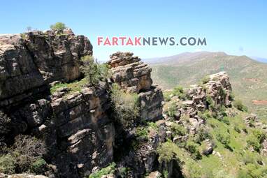 محسن عباسی‌فرد- ایرج الیاسی دالاهو