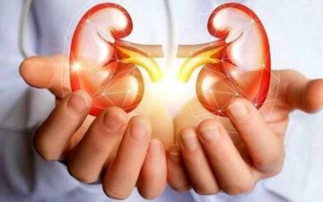 میخوای کلیه ات همیشه سالم باشه؟ بیا تا بهت بگم چی بخور!