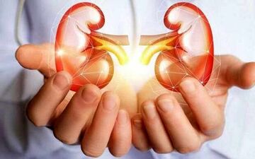 میخوای کلیه ات همیشه سالم باشه؟ بیا تا بهت بگم چی بخور!