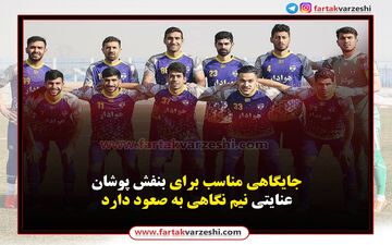 جایگاهی مناسب برای بنفش پوشان/عنایتی نیم نگاهی به صعود دارد