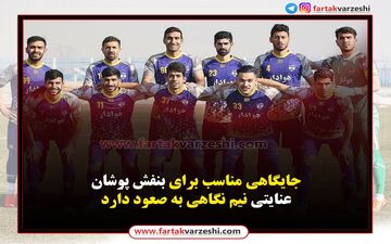جایگاهی مناسب برای بنفش پوشان/عنایتی نیم نگاهی به صعود دارد