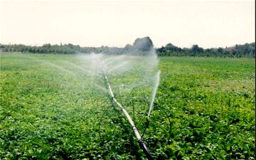 تاکنون بیش از ۷۸هزار هکتار از مزارع استان به سیستم های نوین آبیاری مجهز شده اند