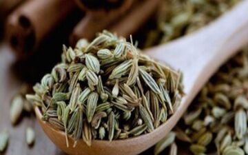 از آشپزخانه تا داروخانه؛ رازیانه، گیاه معجزه‌گر

