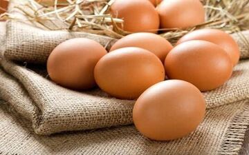 قیمت تخم مرغ ، بلدرچین و شتر مرغ چند ؟! 