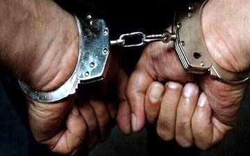 متهمین تیراندازی به محیط‌بان کرمانی دستگیر شدند