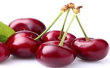 8 خوراکی تسکین دهنده دردهای مزمن