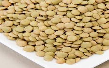 عدس و چای سبز: دو سلاح ضدآرتریت