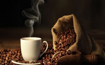 از انرژی تا اضطراب و مرگ؛ خط باریک بین فایده و خطر کافئین
