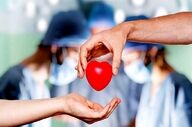 اهدای زندگی از دل اندوه؛ اعضای بدن نوجوان الشتری جان چهار بیمار را نجات داد